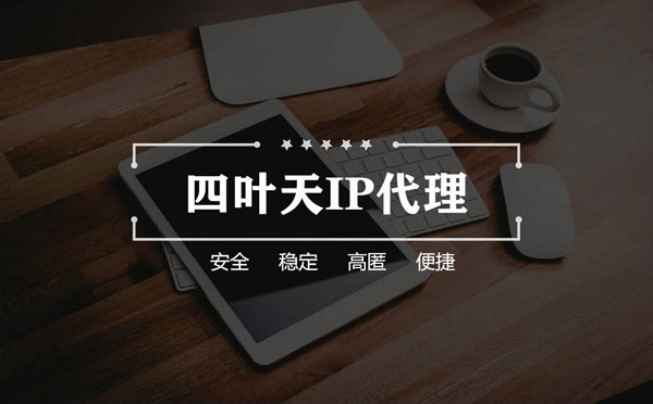 【简阳代理IP】如何快速搭建代理IP？怎么检查代理的效果？